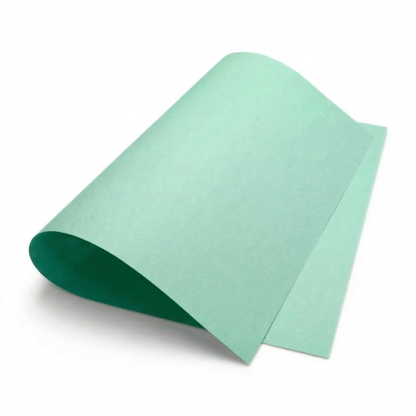 Cartulina Verde 50 x 65 cm | 500 Piezas