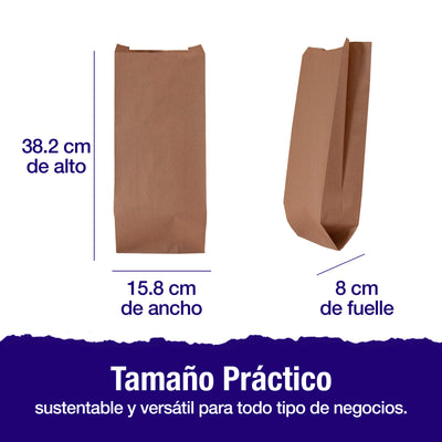 Bolsa Papel Kraft No.10 | 15.8 cm x 8 cm x 38.2 cm