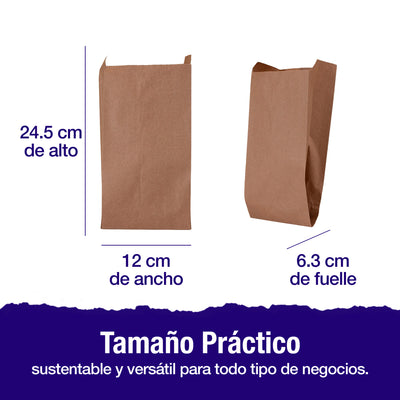 Bolsa Papel Kraft No.3 | 12cm x 6.3cm x 24.5 cm