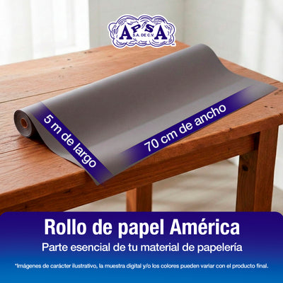 Papel América Gris | Rollo 70 cm x 5 m