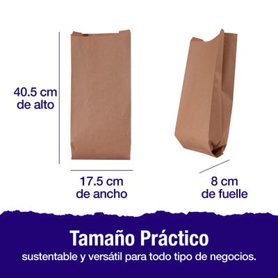 Bolsa Papel Kraft No. 12 | 17.5 cm x 8 cm x 40.5 cm