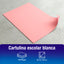 Cartulina Colores Surtidos 50 x 65 cm | 500 Piezas