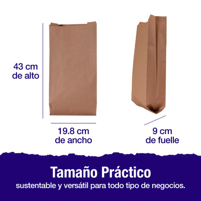 Bolsa Papel Kraft No. 14 | 19.8 cm x 9 cm x 43 cm