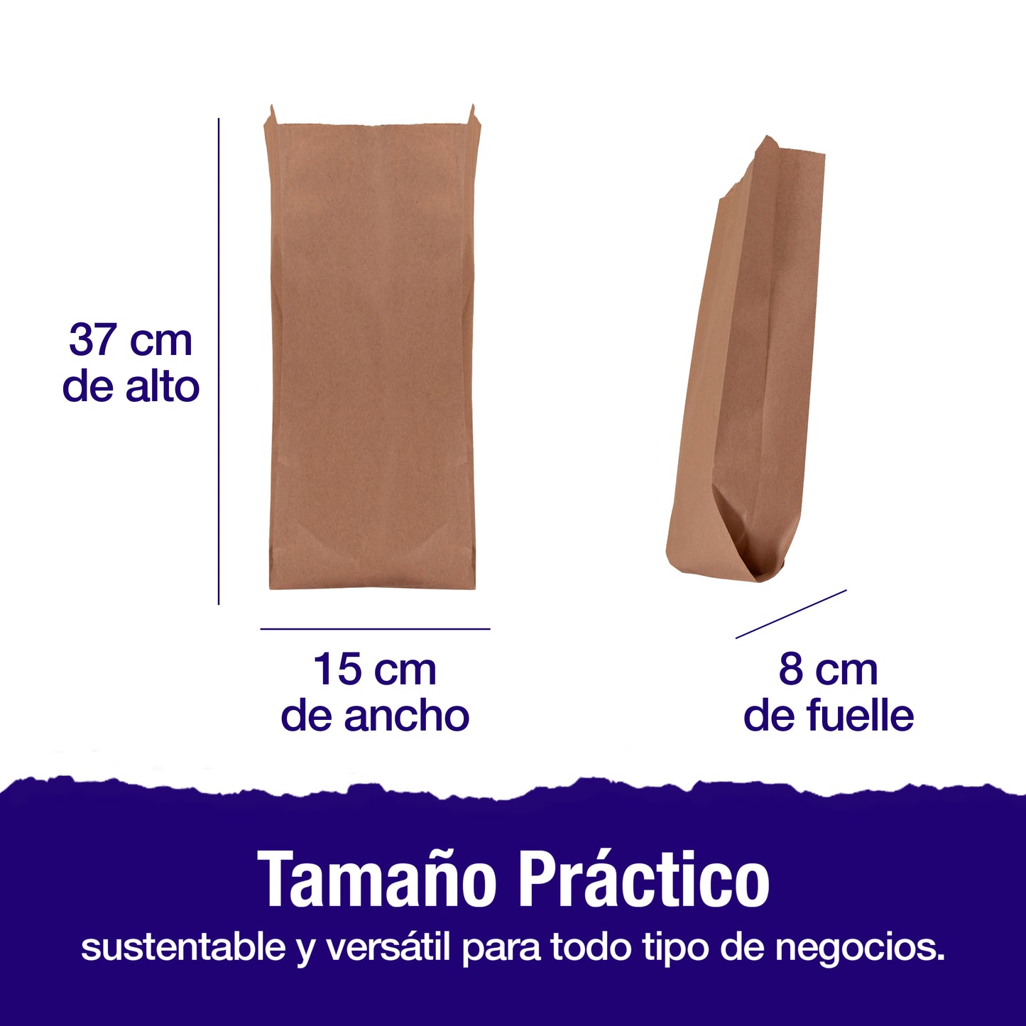 Bolsa Papel Kraft No.8 | 15.8 cm x 8 cm x 37 cm