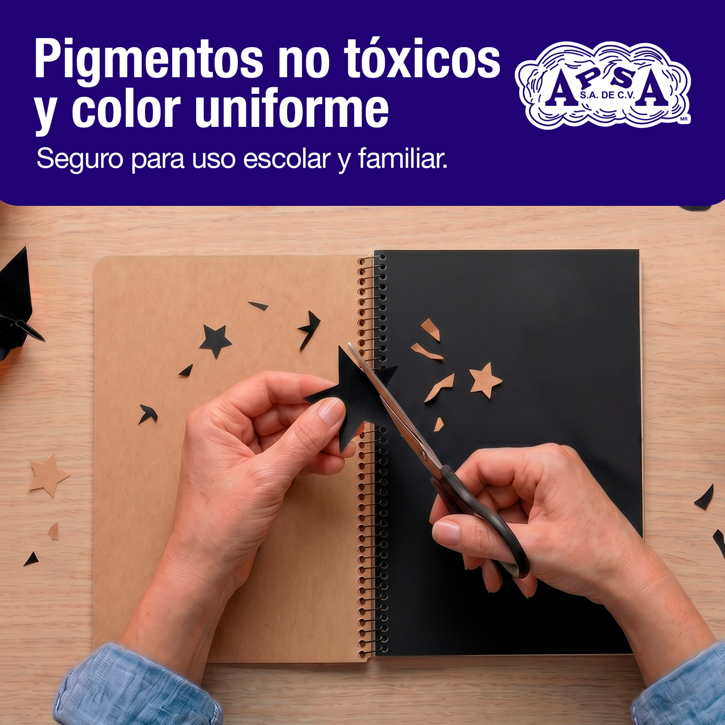Papel Lustre Negro 50x70 cm | Caja 500 hojas