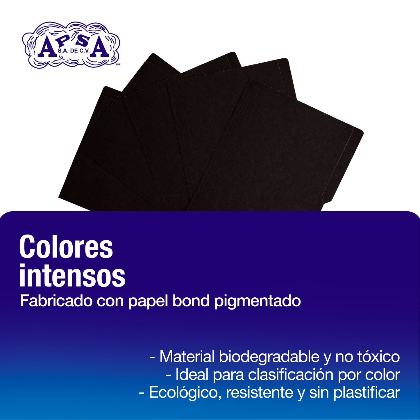 Folder Color Negro | Tamaño Carta