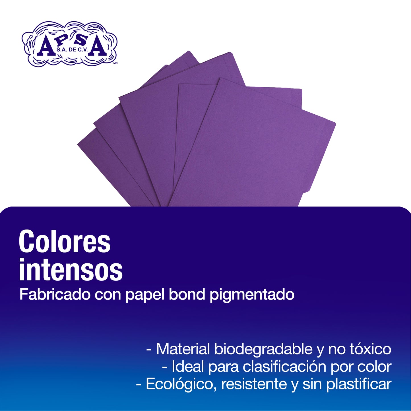 Folder Color Morado | Tamaño Carta